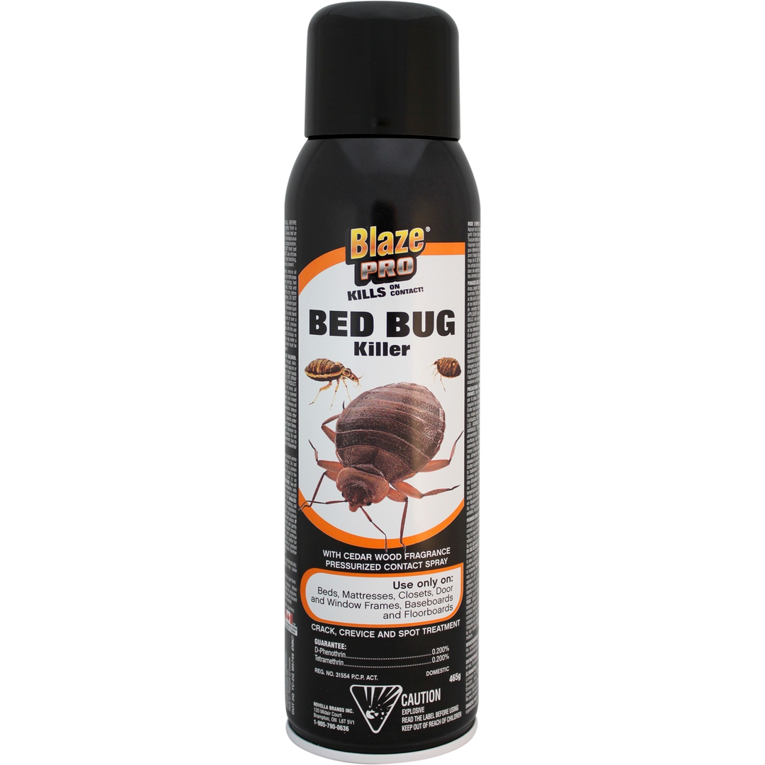 Blaze Pro Bed Bug Killer 465g - Quecan