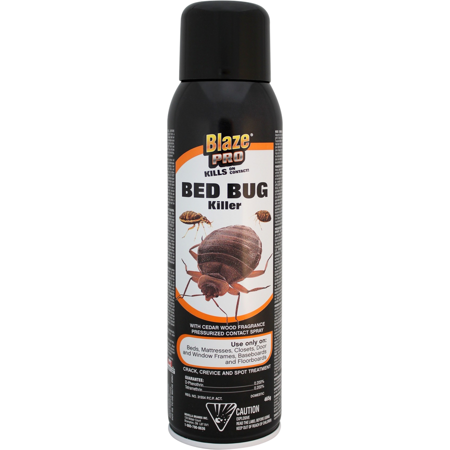 Blaze Pro Bed Bug Killer 465g - Quecan