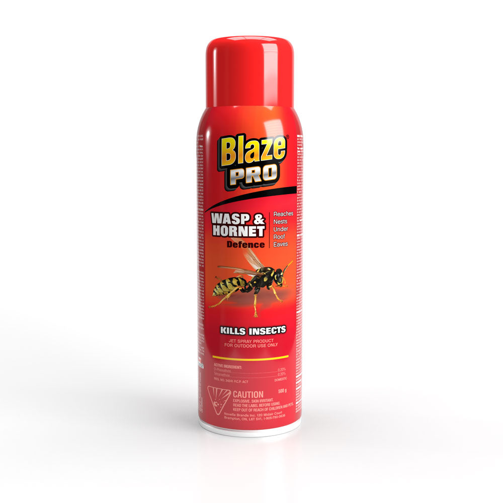Blaze pro Wasp & Hornet Defence 500g - Quecan