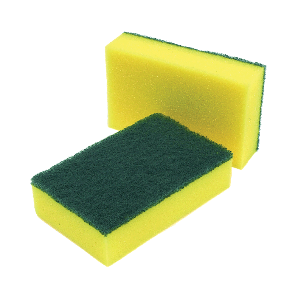 CANSPONGE Scrubber Sponges (Pack of 10) - Quecan