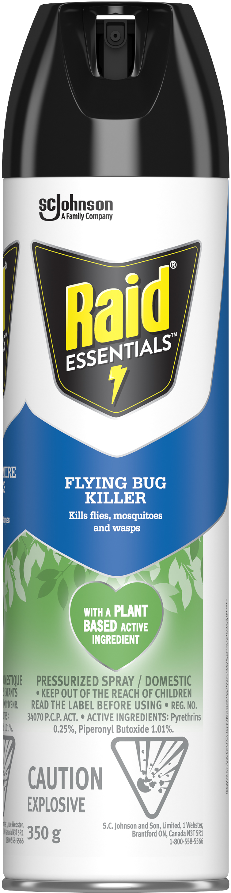 Raid Essentials Flying Bug Killer Pressurized Spray 350g - Quecan