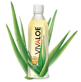 Vivaloe Juices (12x500 ML) - Quecan