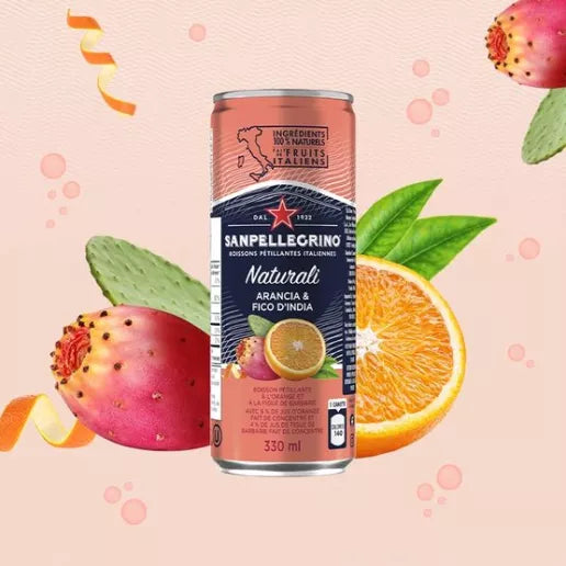 Sanpellegrino Italian Sparkling Fruit Drink (4 x 6 x 330mL) (Can Dep) - Quecan