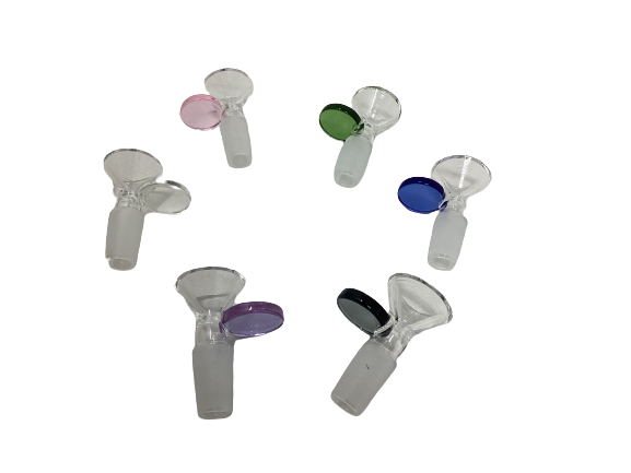 Glass Bowl Regular - Quecan