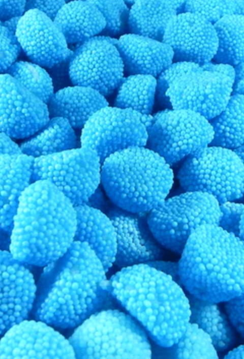 Fini - (2 Kg) - Quecan