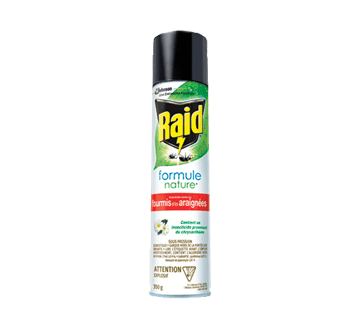 Raid Formula Bug Killer 350G Ant & Spider - Quecan