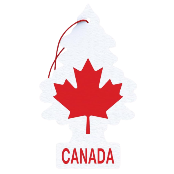 Little Trees Car Air Freshener (Pack of 24)Canada Flag Black ice - Quecan