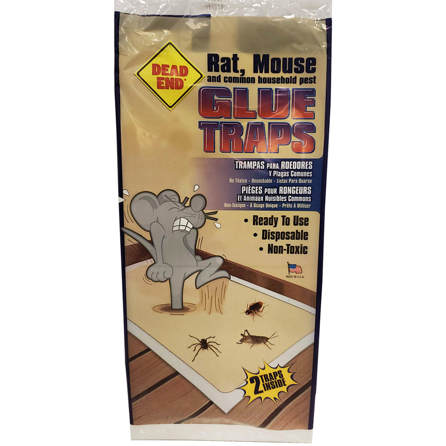 Dead End Rat, Mouse & Common household Pest Glue Traps (Pack of 2) - Quecan