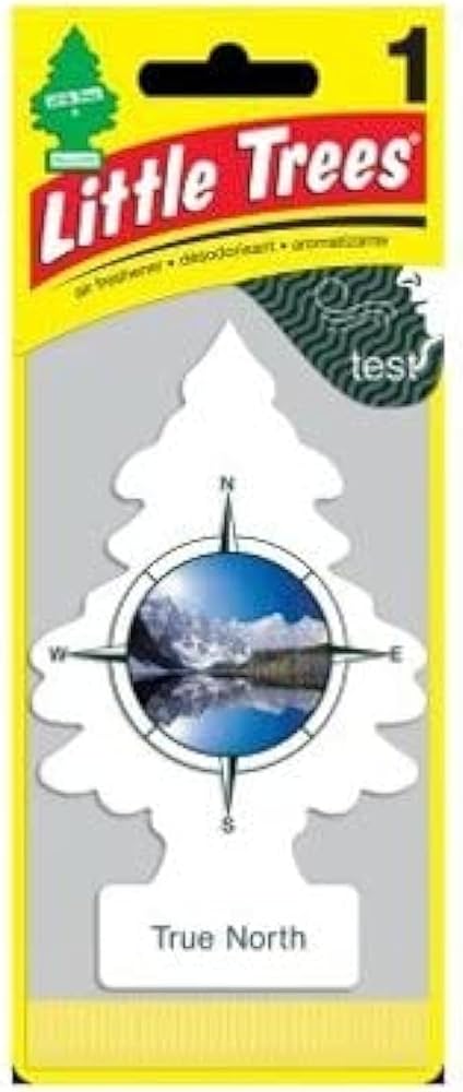 Little Trees Car Air Freshener (Pack of 24) True North - Quecan