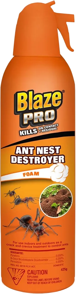 Blaze Pro Ant Nest Destroyer Foam 425g - Quecan