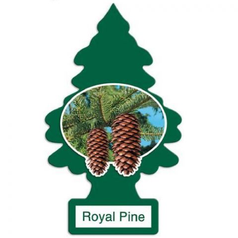 Little Trees Car Air Freshener (Pack of 24) Royal Pine - Quecan