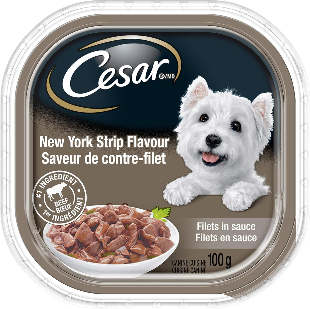 Cesar Grilled Chicken Flavour Saveur De Saveur de Poulet Grille (100g)