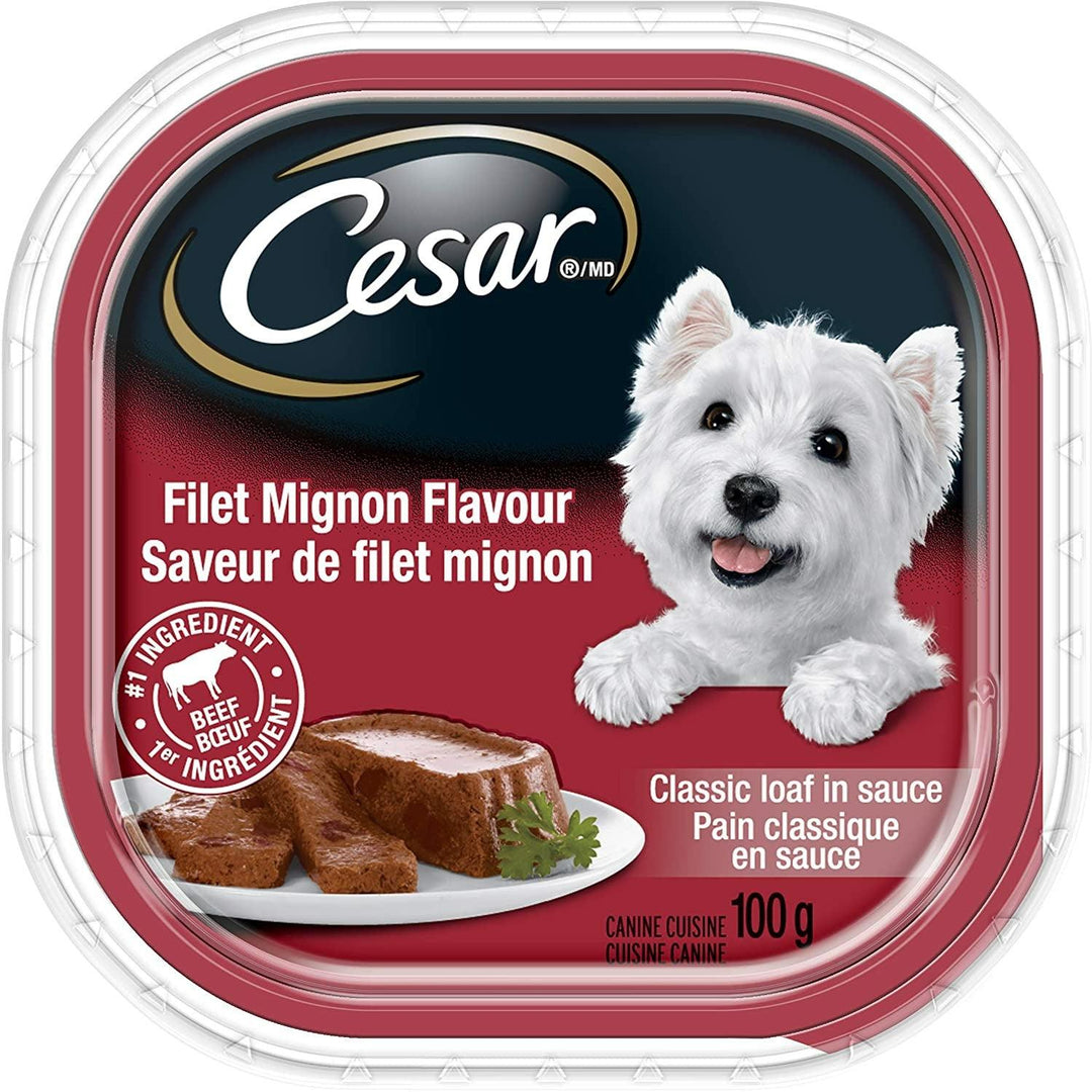 Cesar Grilled Chicken Flavour Saveur De Saveur de Poulet Grille (100g) 