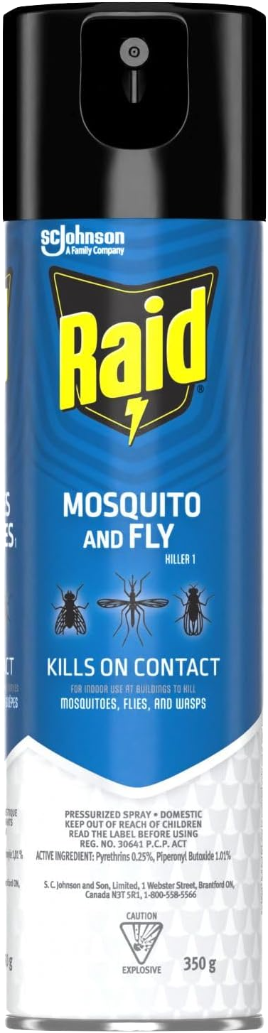 Raid Mosquito And Fly Killer Pressurized Spray (350g) - Quecan