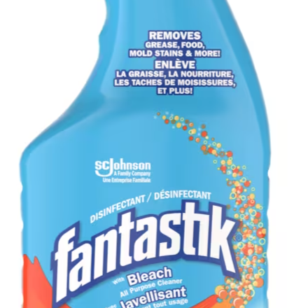 Fantastik Disinfectant Bleach 650 ml Quecan Distribution