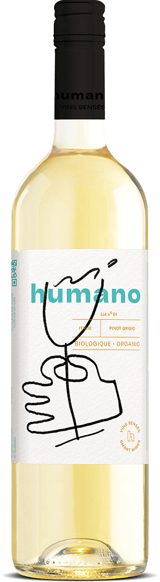 Wine Humano Pinot Grigio Biologique (750 ml) - Quecan