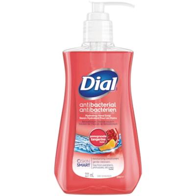 Dial Hand Wash Soap - Pomegranate Tangerine (221ml) - Quecan