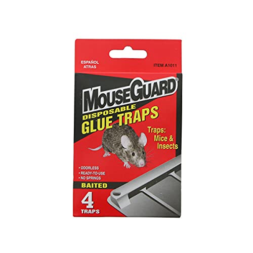 Mouse Guard Glue Traps - Quecan