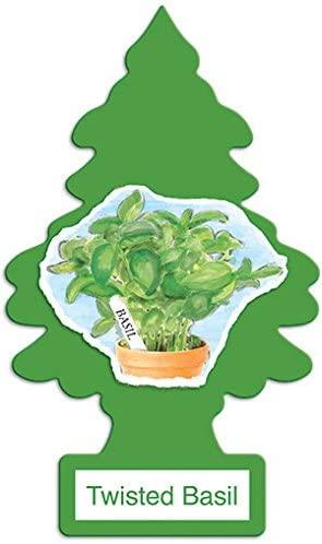 Little Trees Car Air Freshener (Pack of 24) Twisted Basil - Quecan
