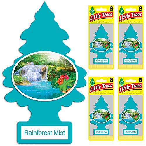 Little Trees Car Air Freshener (Pack of 24) Rainforest Mist - Quecan