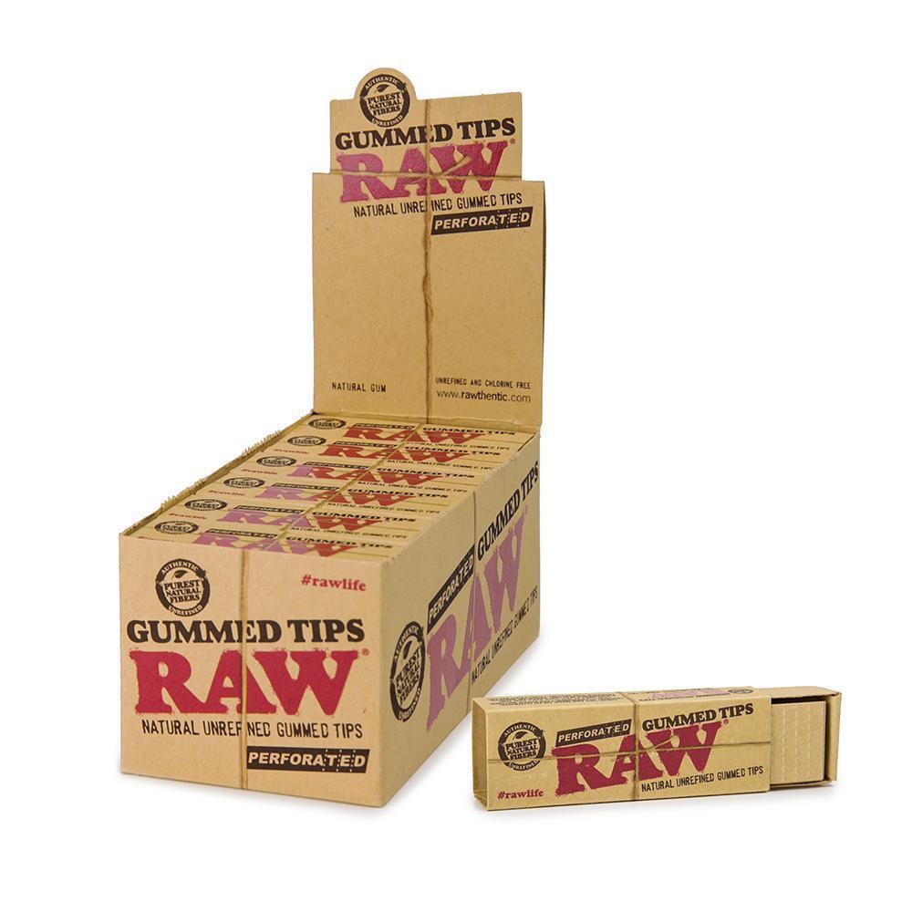 Raw Perforated Gummed Tips (Box of 24 Packs) - Quecan