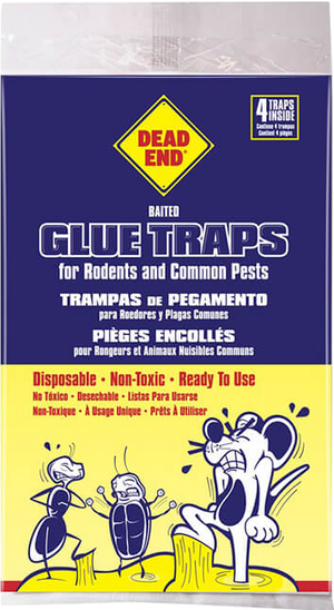 Glue Traps For Rodents and Common Pests (Pack of 4) - Quecan
