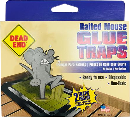 Dead End Baited Mouse Glue Trap (Pack of 2) - Quecan