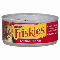 Friskies (Salmon ) (24x156gm) - Quecan
