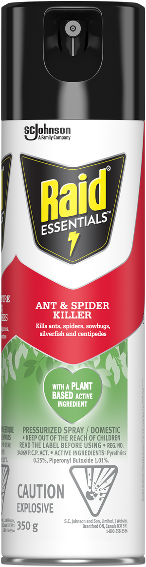 Raid Essentials Ant & Spider Killer Pressurized Spray 350g - Quecan