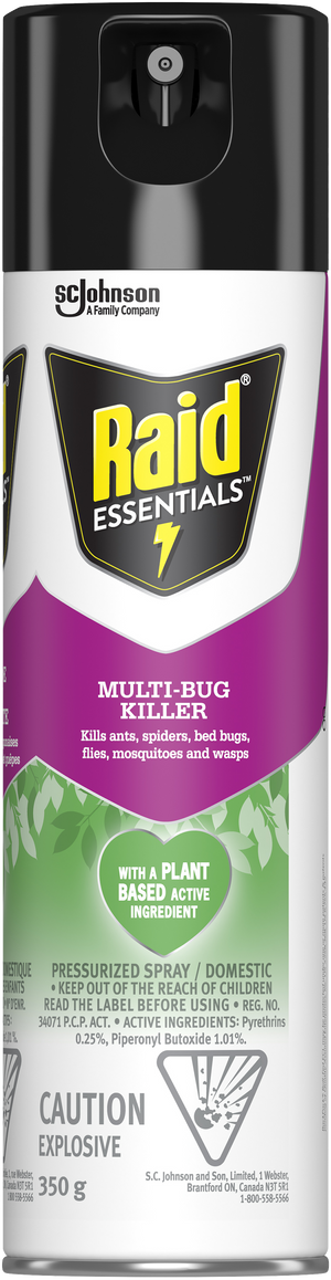 Raid Essentials Multi-Bug Killer Pressurized Spray 350g - Quecan