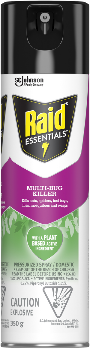 Raid Essentials Spray pressurisé multi-insectes 350 g– Quecan Distribution