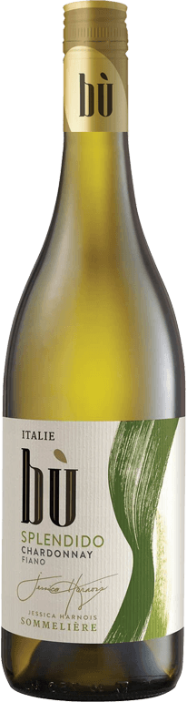 Wine Bu Splendido W V (6 x 750ml) - Quecan